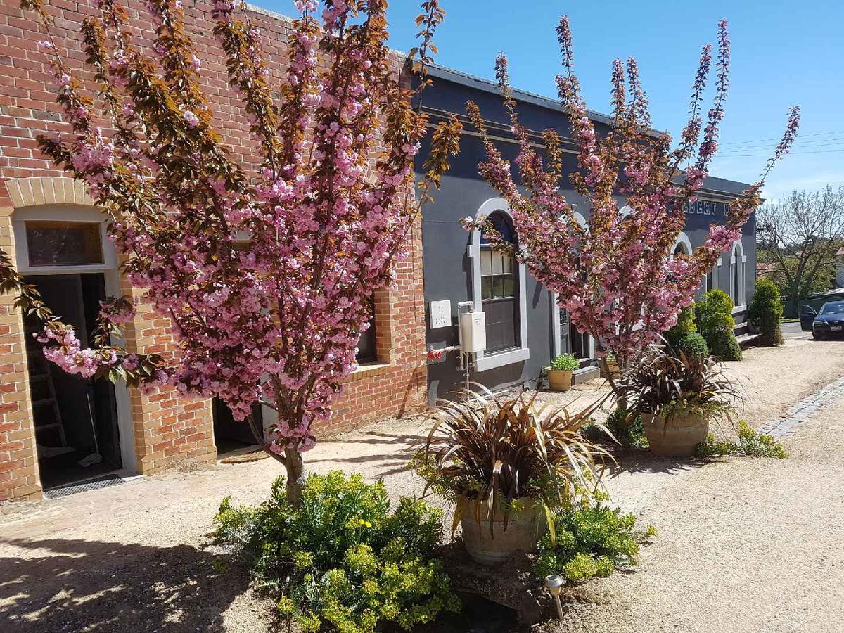 Albert Hotel Daylesford Eksteriør billede